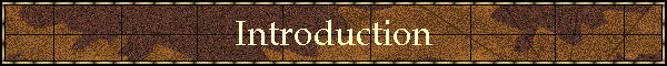 Introduction