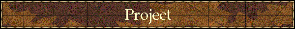 Project